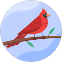 Sylvia Danehy profile picture